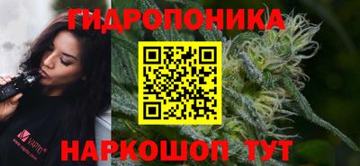 ECSTASY Кимры