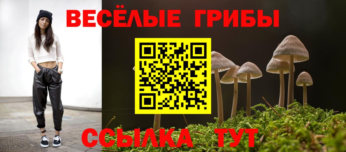 Галлюциногенные грибы GOLDEN TEACHER  Псилоцибиновые грибы GOLDEN TEACHER  Вход с VPN  Когалым 